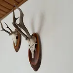 Mallnbach Apartman