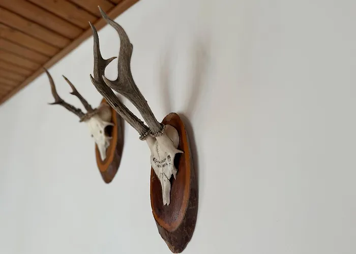 Mallnbach Apartments Apartment